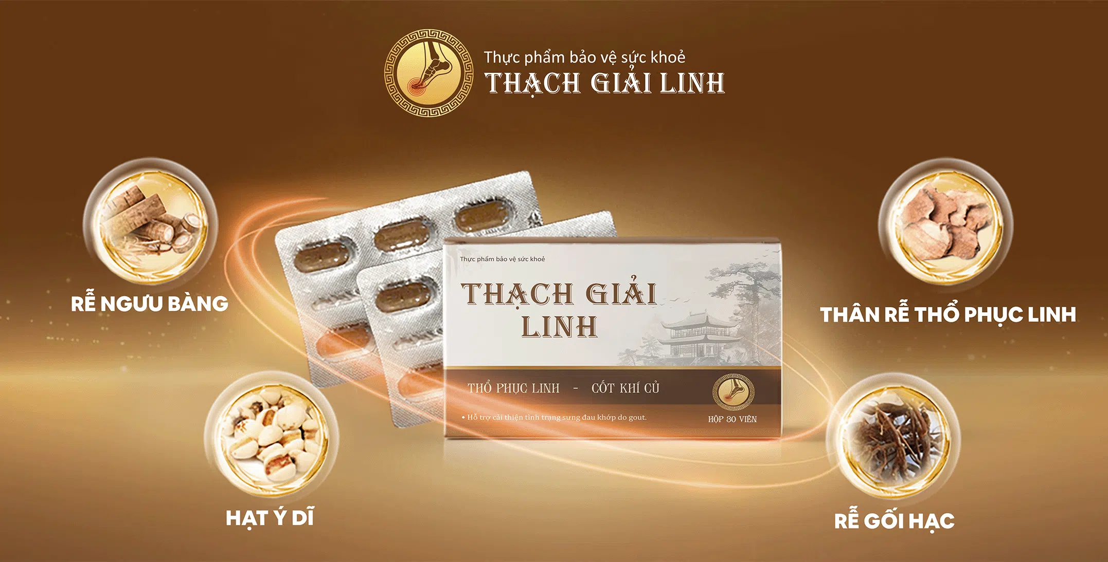 Viên gout cấp Thạch Giải hỗ trợ hiệu quả trong hỗ trợ điều trị bệnh gout