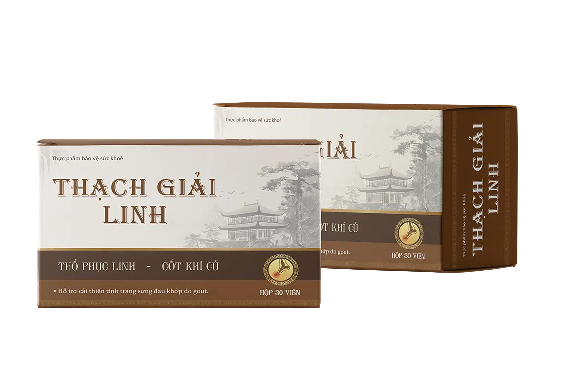 Viên gout cấp Thạch Giải hỗ trợ hiệu quả trong hỗ trợ điều trị bệnh gout