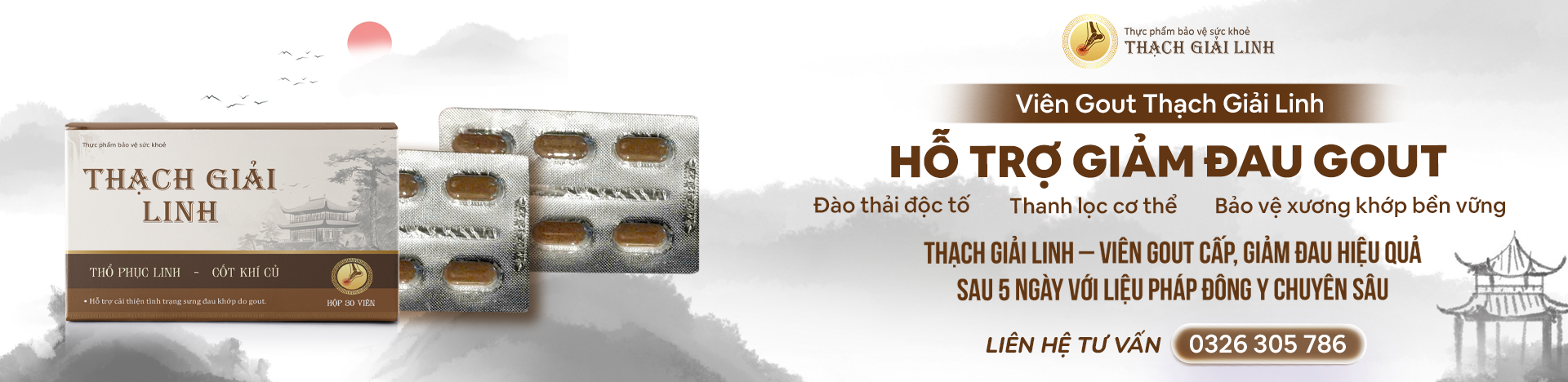 Viên gout cấp Thạch Giải hỗ trợ hiệu quả trong hỗ trợ điều trị bệnh gout