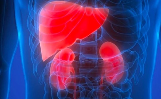 Viên Gout Thạch Giải Linh an toàn, không gây hại gan thận