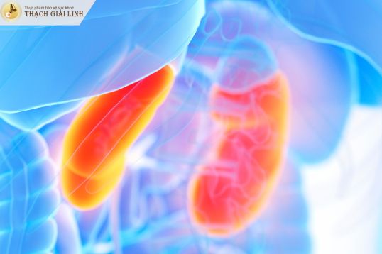 Suy thận do tổn thương thận kéo dài