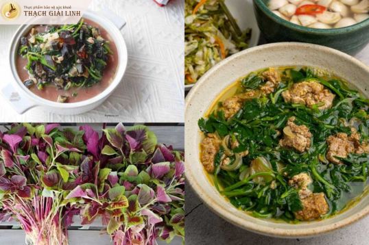 Rau dền làm tăng acid uric và gây tái phát cơn gout