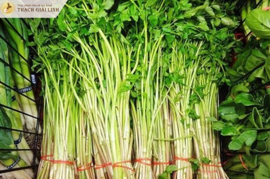 Rau cần là loại rau có tính mát, giàu nước
