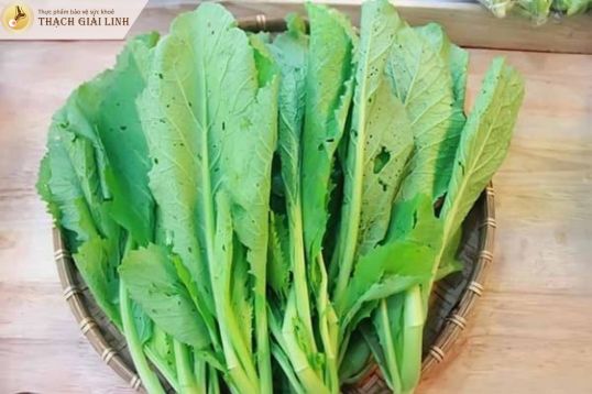 Rau cải xanh chứa lượng purin rất thấp