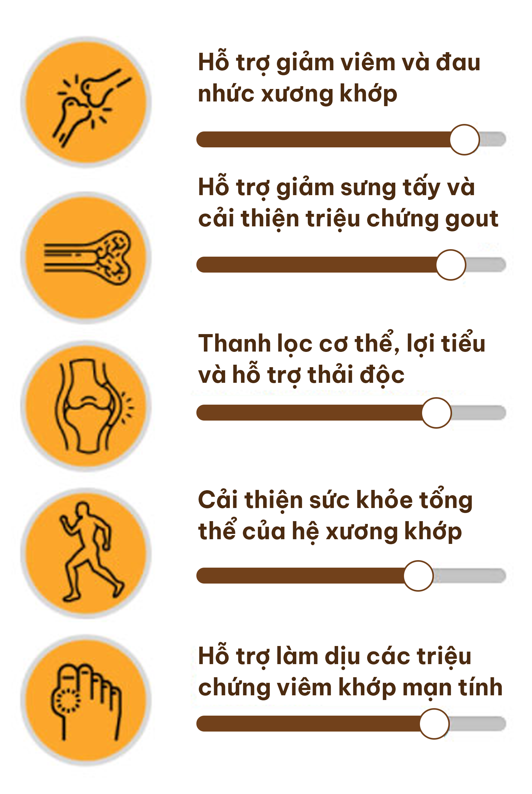 Công dụng của Viên gout cấp Thạch Giải Linh